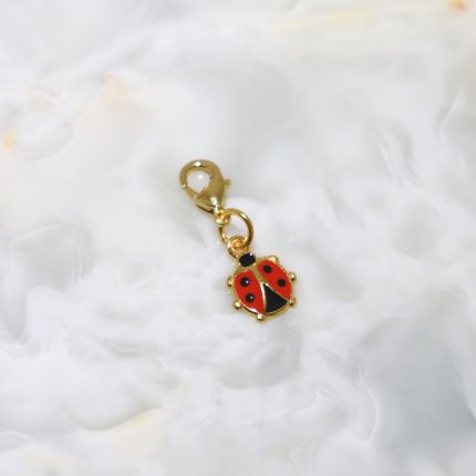 UĞUR BÖCEĞİ CHARM